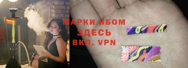 ПСИЛОЦИБИНОВЫЕ ГРИБЫ Горно-Алтайск