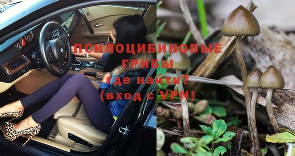таблы Горнозаводск