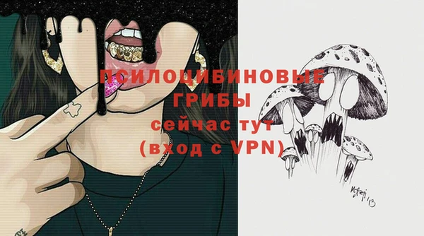 ПСИЛОЦИБИНОВЫЕ ГРИБЫ Горно-Алтайск