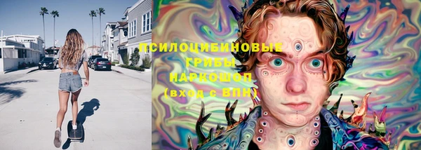 ПСИЛОЦИБИНОВЫЕ ГРИБЫ Горно-Алтайск