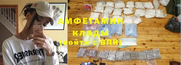 ПСИЛОЦИБИНОВЫЕ ГРИБЫ Горно-Алтайск